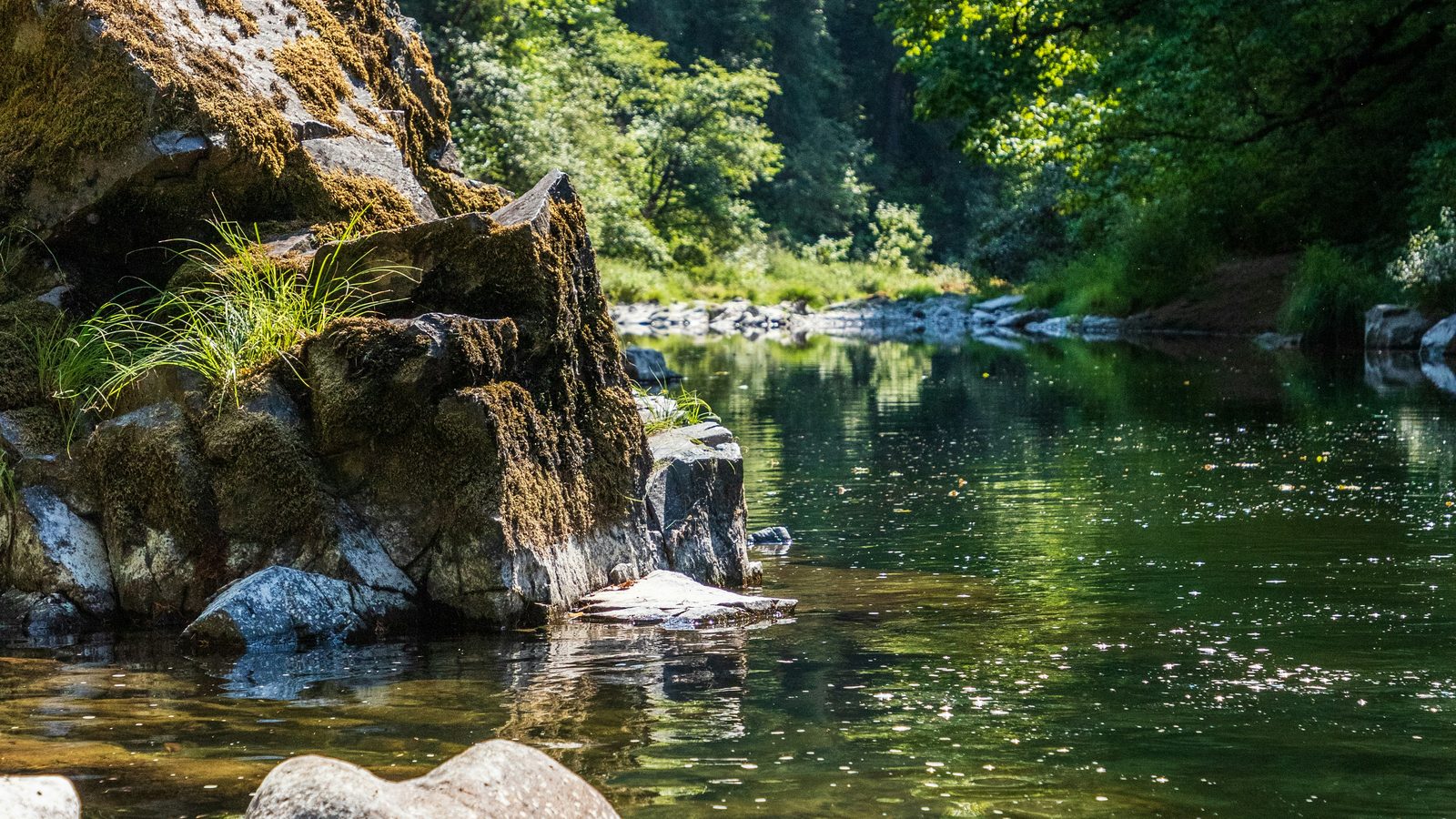 河川・水辺